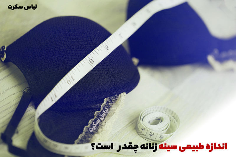 اندازه طبیعی سینه زنانه چقدر است؟ سایز سینه نرمال چیست؟😍